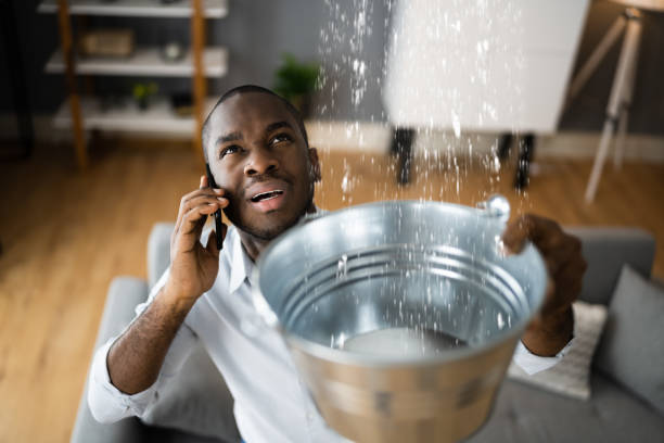Best Water damage restoration specialists  in Elyria, OH