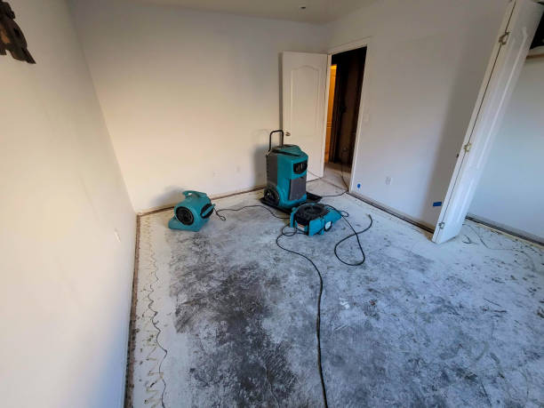 Best Water damage restoration near me  in Elyria, OH