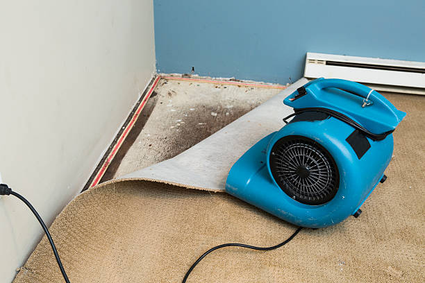 Best Residential water damage restoration  in Elyria, OH